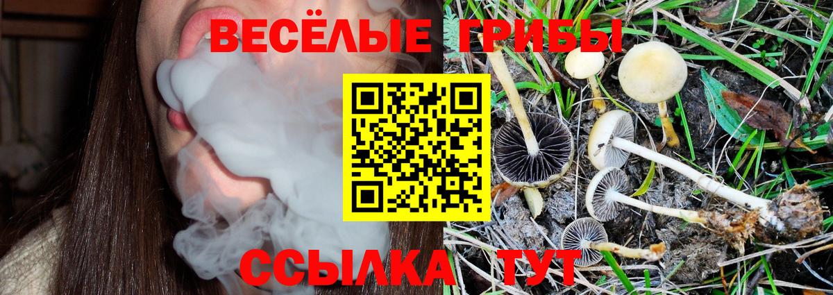 Уварово  Псилоцибиновые грибы GOLDEN TEACHER  Галлюциногенные грибы ЛСД  Вход с VPN 
